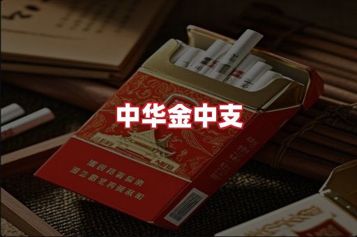 中华金中支